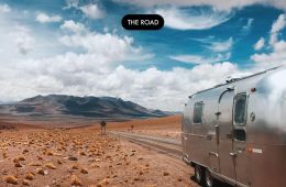 The Road - Thylacine